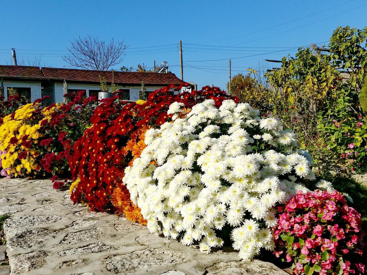 Kosta Bungalows Bŭlgarevo Exteriér fotografie